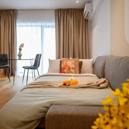 Apartment Exclusive 1br In One Cotroceni *